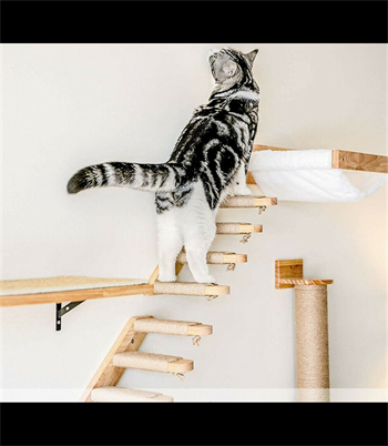 Doğal Kedi Tırmanma ve Tırmalama Merdiveni Ahşap tasarım Duvara Monte 2Lİ Sol Modeli