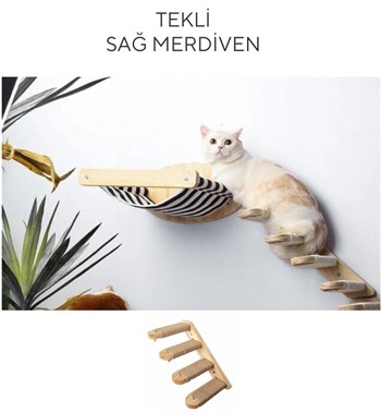 Kedi Yatağı, Kedi Yuvası, ve Kedi duvar yatağı, Kedi hamağı, + Sağ Tip Kedi Tırmanma Merdiveni, 2li Ahşap Modern Set, BuShop Black Zebra Serisi 