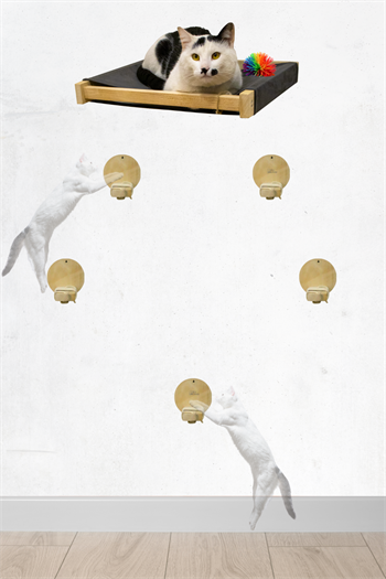 Kedi evi Kedi merdiveni ve Kedi yatağı takımı Duvara Monte Kedi Hamağı Bushop Kuş 6 Parça