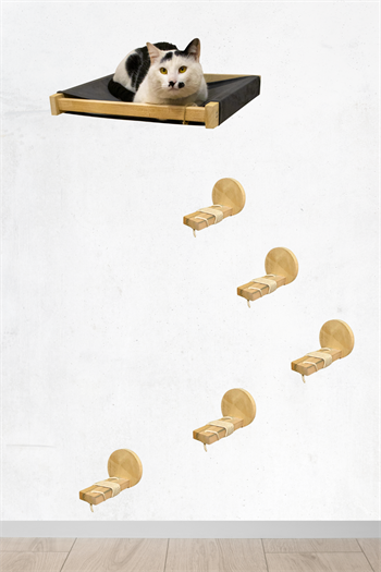 Kedi evi Kedi merdiveni ve Kedi yatağı takımı Duvara Monte Kedi Hamağı Bushop Kuş 6 Parça