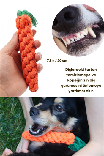 Köpek Diş İpi Halatı ve Şampuan Hazneli Kedi Ve Köpek Evcil Hayvan Yıkama Fırçası, 2 li İthal Set