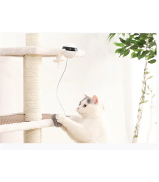 Evcil hayvan oyuncağı   Otomatik  BuShop tüylü topu aşağı yukarı hareket ettirir Kedilerin yeni Dostu