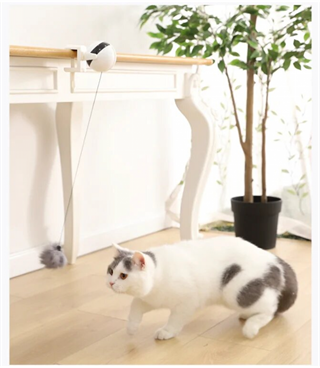 Evcil hayvan oyuncağı   Otomatik  BuShop tüylü topu aşağı yukarı hareket ettirir Kedilerin yeni Dostu