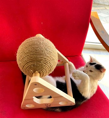 Evcil hayvan oyuncak Tırmanma ipinden hasır top, BuShop Doğal ahşap kedi oyuncağı