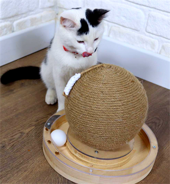 Kedi tırmalama kedi oyuncakları  kedi tırmalama tahtası BuShop Kubbe kedi oyuncak