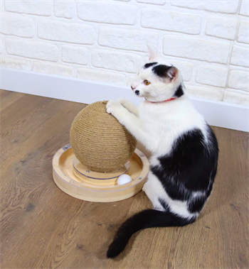 Kedi tırmalama kedi oyuncakları  kedi tırmalama tahtası BuShop Kubbe kedi oyuncak