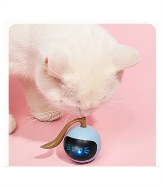 İnteraktif Kedi Oyuncağı  BuShop Renkli Led Ekran  Kediden Kaçar  Kediler Yakalar  Usb Şarj 