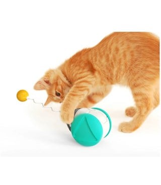 İnteraktif kedi oyuncak BuShop Kuş sesi çıkartır Tekerlekli   Kedi nanesi var + yaylı çubuk ve toplu