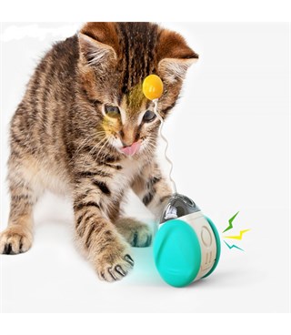 İnteraktif kedi oyuncak BuShop Kuş sesi çıkartır Tekerlekli   Kedi nanesi var + yaylı çubuk ve toplu