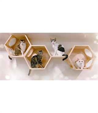 Kedi duvar yatağı, Kedi duvar parkuru, Kedi duvar evi, Petek Kedi Rafı, Birbirine eklenebilir, BuShop Ahşap Petek Tek Adet.
