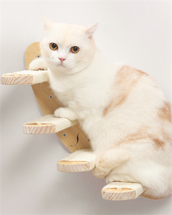 Kedi duvar hamağı, Kedi duvar parkuru, Kedi duvar yatağı, Kedi Duvar Evi, Kedi duvar merdiveni, Kedi duvar tırmalama,  5 parça pro ahşap set , Bushop Clouds Serisi