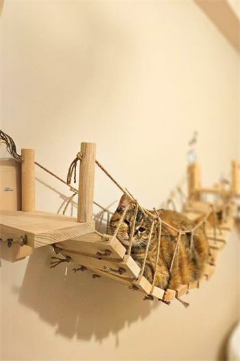 110cm Kedi Duvar Köprüsü, Kedi Yatağı Kedi Tırmalama Kedi Merdiveni BuShop Miyav Köprüsü