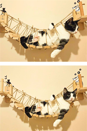 110cm Kedi Duvar Köprüsü, Kedi Yatağı Kedi Tırmalama Kedi Merdiveni BuShop Miyav Köprüsü