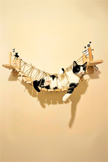 110cm Kedi Duvar Köprüsü, Kedi Yatağı Kedi Tırmalama Kedi Merdiveni BuShop Miyav Köprüsü