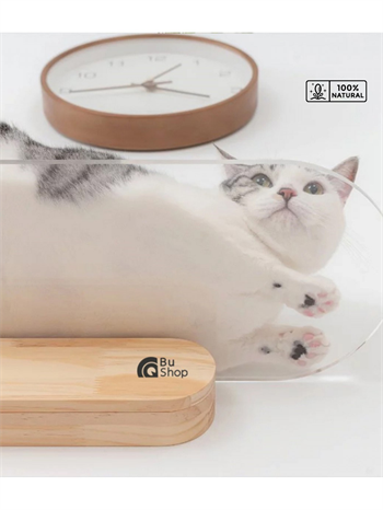 Kedi yatağı Kedi evi kedi yuvası kedi oyuncak Kedi tırmalama evi Bushop Modern Duvar Yatağı 50cm