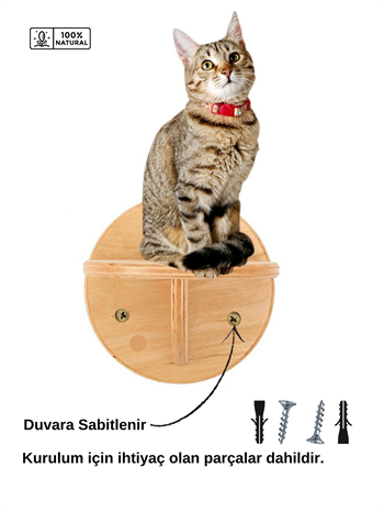 Kedi duvar rafı, 3lü kedi duvar merdiven seti, Doğal Kedi duvar merdiveni seti, Dekoratif, BuShop Circle Ahşap Doğal Kedi Merdiveni