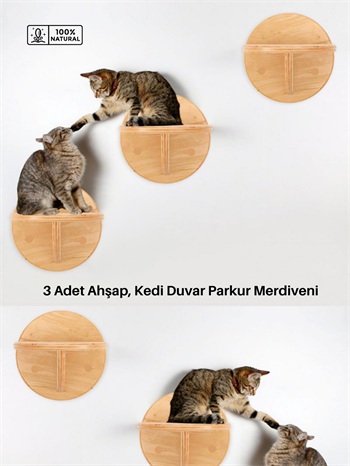 Kedi duvar rafı, 3lü kedi duvar merdiven seti, Doğal Kedi duvar merdiveni seti, Dekoratif, BuShop Circle Ahşap Doğal Kedi Merdiveni