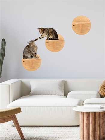 Kedi duvar rafı, 3lü kedi duvar merdiven seti, Doğal Kedi duvar merdiveni seti, Dekoratif, BuShop Circle Ahşap Doğal Kedi Merdiveni