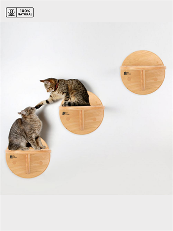 Kedi duvar rafı, 3lü kedi duvar merdiven seti, Doğal Kedi duvar merdiveni seti, Dekoratif, BuShop Circle Ahşap Doğal Kedi Merdiveni