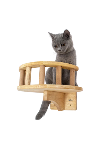 Kedi duvar yatağı Kedi duvar parkuru Kedi duvar rafı Kedi duvar oyun alanı Patiyol Tekli Hadrian Series