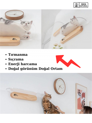 Kedi yatağı Kedi evi kedi yuvası kedi oyuncak Kedi tırmalama evi Bushop Şeffaf Duvar Yatağı 40cm