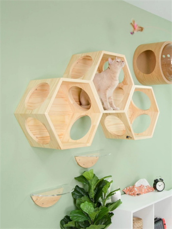 Kedi duvar yatağı, Kedi duvar parkuru, Kedi duvar evi, Petek Kedi Rafı, Birbirine eklenebilir, BuShop Ahşap Petek Tek Adet.