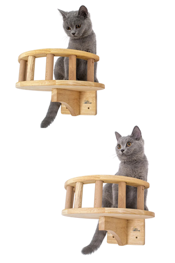 Kedi duvar yatağı Kedi duvar parkuru Kedi duvar rafı Kedi duvar oyun alanı Patiyol Tekli Hadrian Series