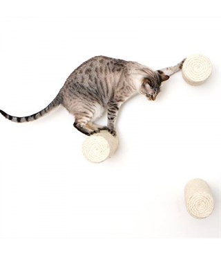 Kedi Duvara Asılabilir Tırmalama BuShop Duvar Dalı  Yapay kedi Dalı