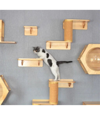 Kedi Ev için Tırmanma Ağacı BuShop Duvara Monte Pet Mobilya Tırmanma Sağ Merdiveni Enerji Atma Ve Oyun 