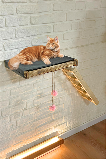 Kedi evi Kedi merdiveni ve Kedi yatağı takımı Sağ Sol Uyumlu Bushop Antique Duvara Monte Kedi Hamağı 