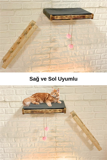 Kedi evi Kedi merdiveni ve Kedi yatağı takımı Sağ Sol Uyumlu Bushop Antique Duvara Monte Kedi Hamağı 