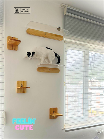 Kedi evi, Kedi parkuru, Kedi yatağı, Kedi Duvar Evi, Kedi Duvar Rafı, Muhteşem 5 parça kedi parkuru , Bushop Flat