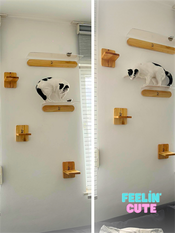 Kedi evi, Kedi parkuru, Kedi yatağı, Kedi Duvar Evi, Kedi Duvar Rafı, Muhteşem 5 parça kedi parkuru , Bushop Flat