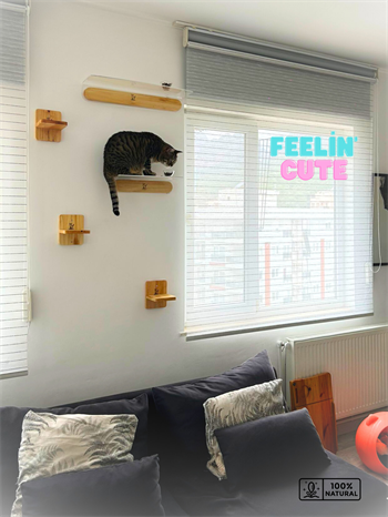 Kedi evi, Kedi parkuru, Kedi yatağı, Kedi Duvar Evi, Kedi Duvar Rafı, Muhteşem 5 parça kedi parkuru , Bushop Flat