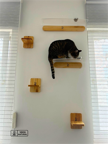 Kedi evi, Kedi parkuru, Kedi yatağı, Kedi Duvar Evi, Kedi Duvar Rafı, Muhteşem 5 parça kedi parkuru , Bushop Flat