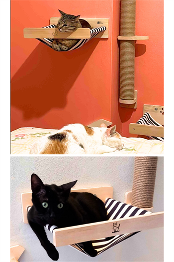 Kedi evi, Kedi yatağı Kedi tırmalama ve Kedi Oyun Seti Bushop Duvara Monte Kedi Hamağı Takımı