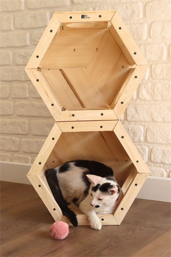 Kedi evi ,Kedi Yuvası, İkili Kedi Kulübesi seti, Kedi Oyun Parkuru Oluştur, Petek Model BuShop