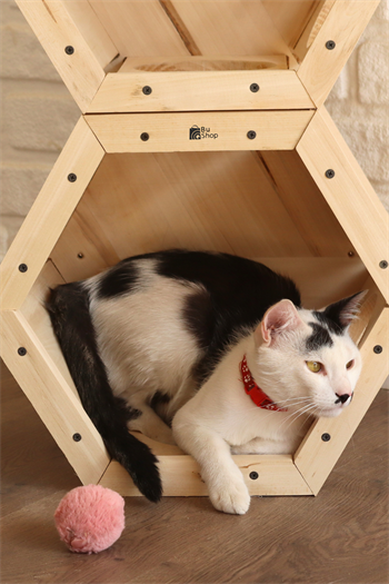 Kedi evi ,Kedi Yuvası, İkili Kedi Kulübesi seti, Kedi Oyun Parkuru Oluştur, Petek Model BuShop