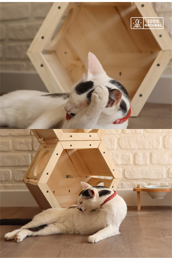 Kedi evi ,Kedi Yuvası, İkili Kedi Kulübesi seti, Kedi Oyun Parkuru Oluştur, Petek Model BuShop