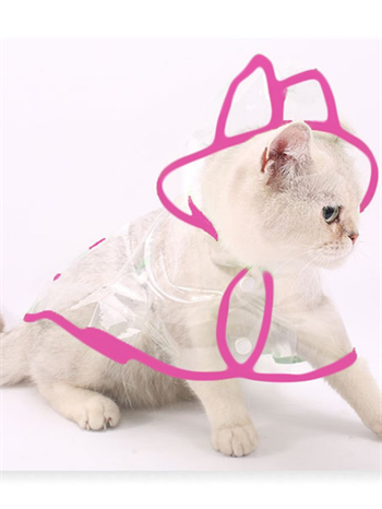 Kedi kıyafeti, kedi yağmurluk,Kedi elbisesi M kedi tasması, kedi künyesi,2 li set  Barbie pro serisi 