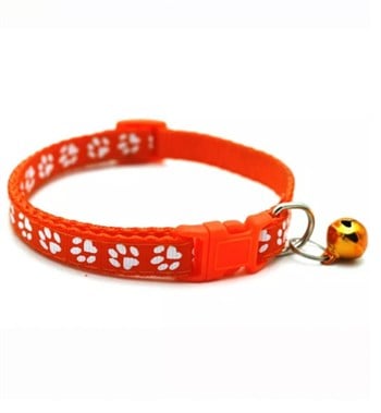 Kedi Köpek muhteşem kampanyası 3 seti mama ve su  kabı,tüy toplama eldiveni,zilli tasması