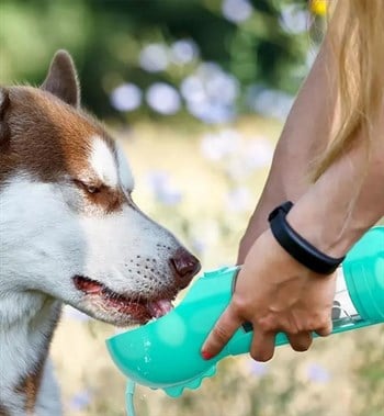 Kedi Köpek Için Taşınabilir Tek Hazneli Mama Veya Suluk Seyahat Seti Turkuaz
