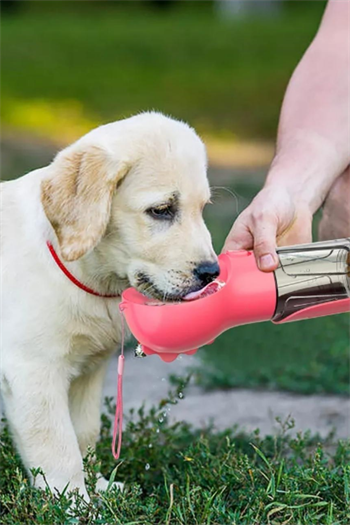 Kedi Köpek Için Taşınabilir Tek Hazneli Mama Veya Suluk Seyahat Seti Pembe