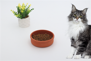 Kedi köpek mama kasesi 12 Kahverengi Seramik Yüksek Kalite BuShop