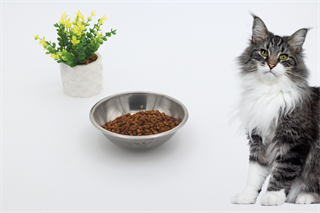 Kedi köpek mama kasesi 14cm  Metal Yüksek Kalite BuShop