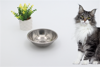 Kedi köpek mama kasesi 14cm  Metal Yüksek Kalite BuShop