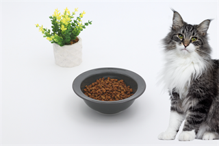 Kedi köpek mama kasesi 15cm Gri Seramik Yüksek Kalite BuShop