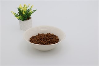 Kedi köpek mama kasesi 19cm Krem Seramik Yüksek Kalite BuShop