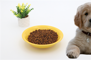 Kedi köpek mama kasesi 20cm Sarı Seramik Yüksek Kalite BuShop