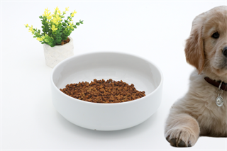 Kedi köpek mama kasesi 21cm Beyaz Seramik Yüksek Kalite BuShop